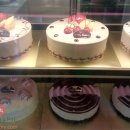 신라제과 이미지