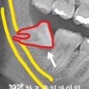 참조은치과의원 이미지