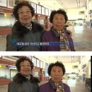 안녕하쌉싸리와요