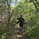 무념무상 | 강릉 TNF 50km 트레일러닝 대회 참가후기(런트립(Run-Trip)? No! 런트랩(Run-Trap)? Yes!)