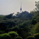 남산공원길2 이미지