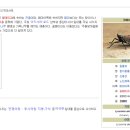 일오팔팔