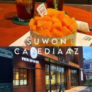 T카페오더_PAYCO | 수원 KT위즈파크 카페디아즈 애플망고케이크 먹으러 재재재방문한 솔직 후기