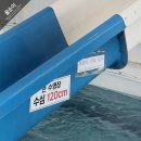 밀양 마이웨이리조트 아이랑 당일치기 물놀이 물갈이 장염 후기