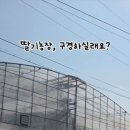 만봉농장 네이버블로그