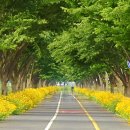 낙동강자전거길6 이미지