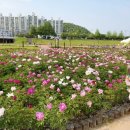 낙동가람 이미지