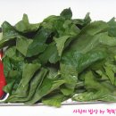 가을이 제철! 맛도 영양도 만점인 아욱무침 이미지
