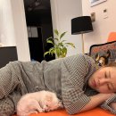 햇님이네 이미지