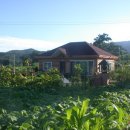 산방마을 농로 이미지