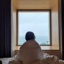 경주 수영장 호텔 프룩스플럭스 힐링 호캉스 후기