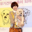 더페밀리 이미지