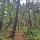 여강길(10-1코스 싸리산길) 이미지