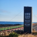 조이힐펜션 | 제주도 숙박 가성비 오투힐리조트 조식 및 픽업 서비스 아침 명상까지 무료