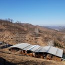 안동목장 이미지