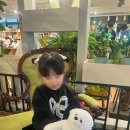 워니 | 워니리본 트윙클벨벳 후기 코디