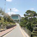 용인대학교 일반대학원 이미지