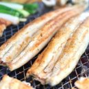 대물장어 이미지