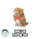 매골프