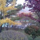 가창중학교 이미지