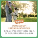 펫츠런 이미지