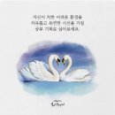 세대유감 이미지