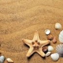 파워닥터 이미지