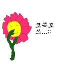포항월드킹월드킹