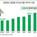 모아정보 이미지