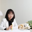 디니어 - 김해시 | 디니어