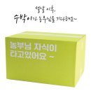 수(秀)박스