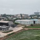 2024월6월22일 토요일 서해랑길61코스 경유지: 행담도와 평택항, 서해대교, 이미지