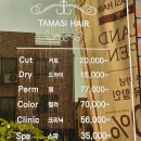 타마시헤어세교점