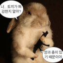 2. 광주 웨딩플래너 계약 _ 더블루웨딩 조상아 실장님