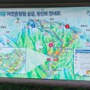 강씨봉자연휴양림 이미지