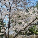 서호(여) 이미지