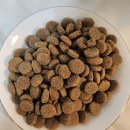 시니어 스마트 라이프 | [노령견사료 추천] 소화잘되는 개사료 강아지시니어 사료 '오아지 시니어 치킨 사료'