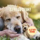 하트약국 이미지