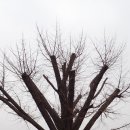 남면초등학교 양덕분교장 이미지