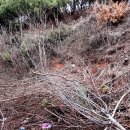 두명마을회관 이미지