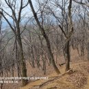 분수2리 이미지