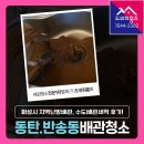 (주)화성보일러 | 동탄 보일러배관청소 업체 지역난방, 수도배관 세척 후기! (화성 반송동 동탄시범다은마을월드메르디앙...