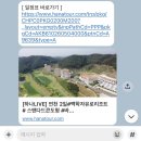 오로라 | 연천 백학자유로리조트 스탠다드콘도 솔직후기 3가지
