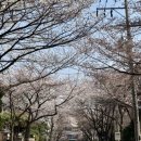 국보성 - 강동구 명일로13길 15 | 국보성