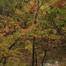 꿈꾸는 계곡 펜션 이미지