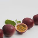 진혁농장 이미지