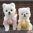 오륜상사 이미지