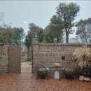 스테이애옥 이미지