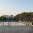 경희대학교 국제캠퍼스 테니스장1