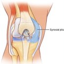 연세슬기병원 이미지